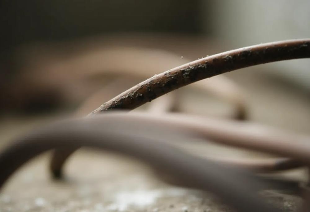 brown wire-0bbf2d2961d4466c9b2229841854f6c7.jpg brown wire